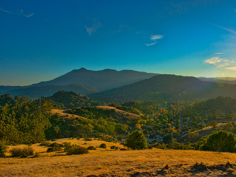 Mount Tamalpais photo courtesy of Flickr user Thanksfor2.5millionviews