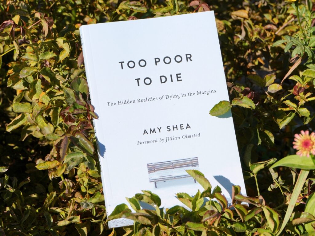 Amy Shea-book